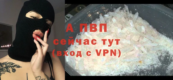 прущие грибы Инсар