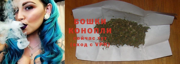 прущие грибы Инсар