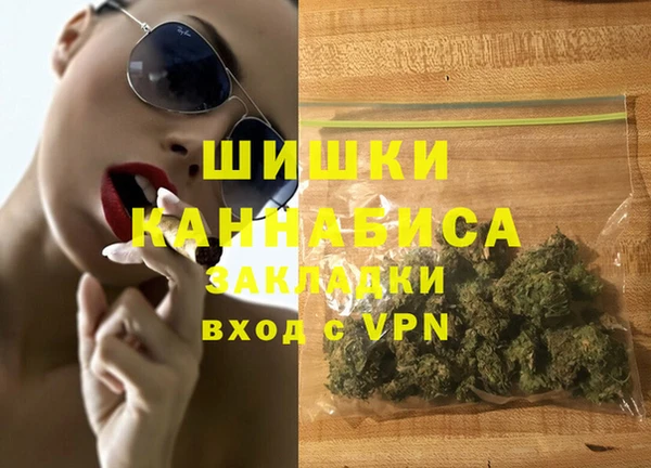 прущие грибы Инсар