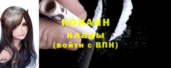 прущие грибы Инсар