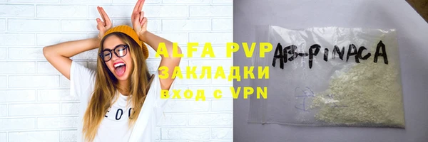 прущие грибы Инсар