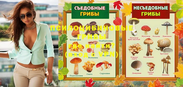 прущие грибы Инсар