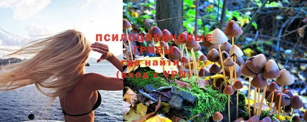 крисы Иннополис