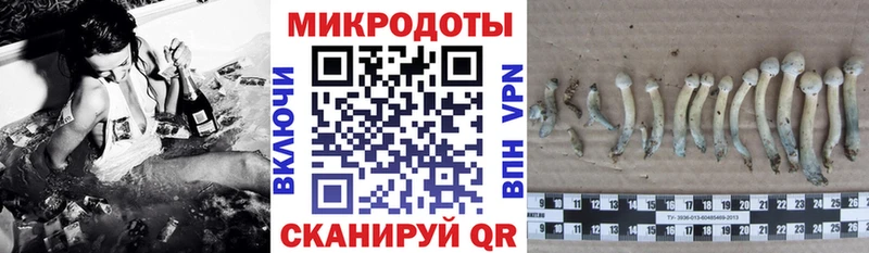 Галлюциногенные грибы Magic Shrooms  Купить где  Цимлянск 